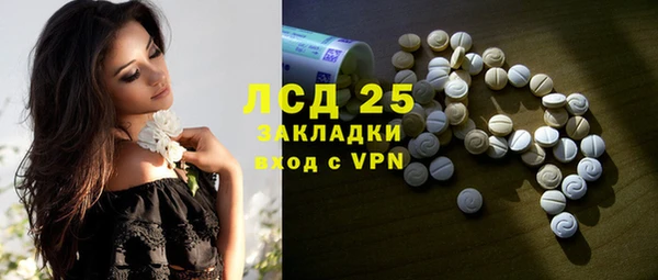 гидра Богданович