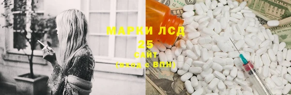 гидра Богданович