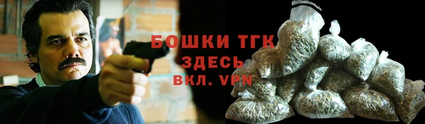 гидра Богданович