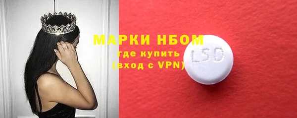 гидра Богданович