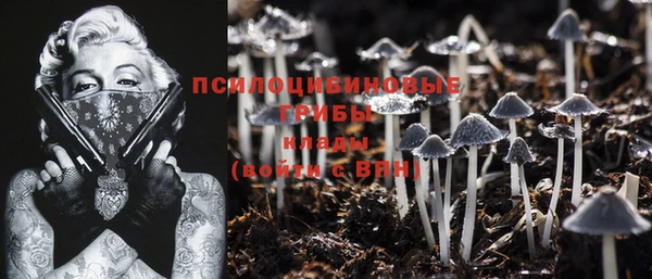 2c-b Богородицк