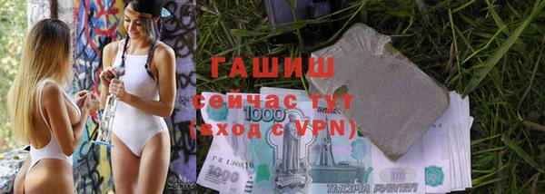 гидра Богданович