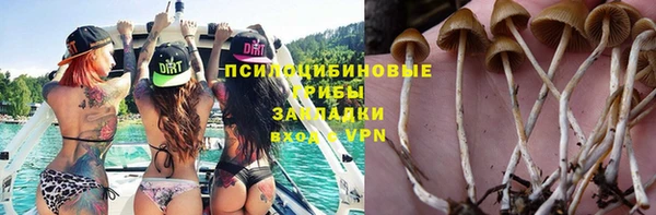 2c-b Богородицк