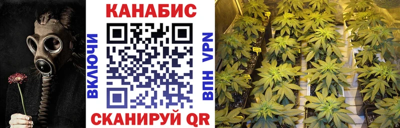 Конопля план  Светлый 